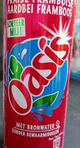 Oasis Fraise Framboise 33cl (Pack de 24 — 1,60€/canette)